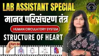 Lab Assistant 2025 Vacancy Special | Human Circulatory System | Structure of Heart | By Priti Ma&rsquo;am
