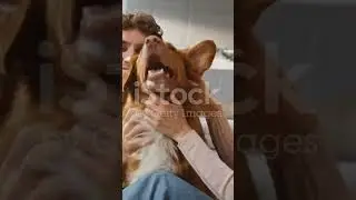 Dog shampoo | dog shampoo for hair fall control | dog shampoo for hair growth | best dog shampoo