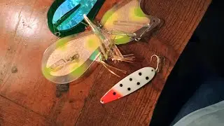 What lines you should run specific  salmon lures and where they thrive!