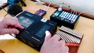 Kalimba // tape loop (nature and birds) // Loopamajig on Zoia // Gecho Loopsynth