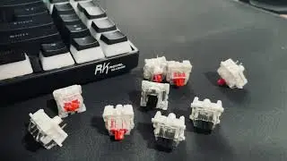 Budget Build/Custom Keyboard Ep 1| RK71 Teardown (Royal Kludge) Outemu Black Switch Mod