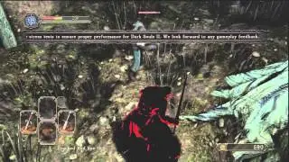 Dual Swordsman PvP