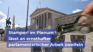 Stamperl im Plenum l&auml;sst an ernsthafter parlamentarischer Arbeit zweifeln