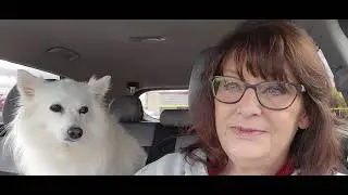 Pupper Cup & Chat - My New Healing Journey -Update in Description