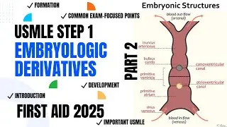 USMLE First Aid | CVS (Heart Embryology) Part 2 | Step 1 Preparation
