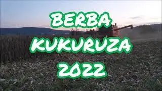 BERBA KUKURUZA 2022 | ZMAJ 142 RM | Majur, Jagodina 3/3