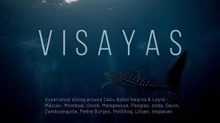 Sea You in Visayas |  Diving Around Visayas Region Philippines | Scuba Diving Philippines