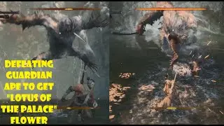 Sekiro Shadows Die Twice: Defeating Guardian Ape to Get Lotus of the Palace (White Flower)