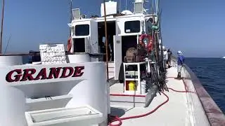 Bluefin Tuna On The Grande *H&M Landing*