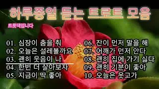하루종일 듣는 트로트모음 , 들썩들썩 흥나는 트로트 메들리