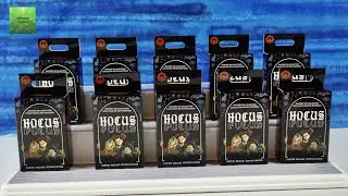 Disney Hocus Pocus Mystery Pin Collection Blind Box Opening | CollectorCorner