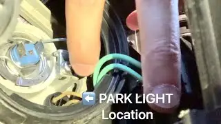 Hyundai i45 Park Light Bulb Globe Location
