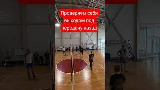 Улучшить качество передачи с помощью выхода под мяч #haikyuu #volleyball #волейбол #VolleyDzenCamp