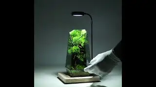Opening and Closing The Vertex - Moss Wall terrarium by TerraLiving
