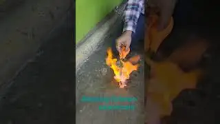 Amazing alcohol trick #amazingexperiment #viralexperiment #mr.experiment