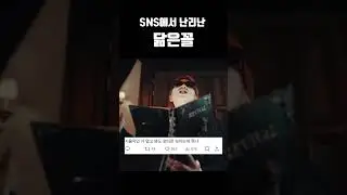 닮았나요?