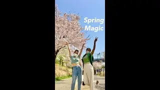 Wait for it.. #Springmagic in Seoul Forest 🥰