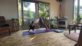 Moving into stillness
