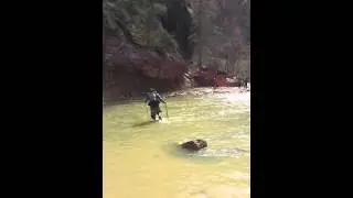 Crossing The Narrows at Zion 3/15/16 cold water
