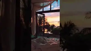 Morning sunshine | Pleasant view | Beautiful start of the day#