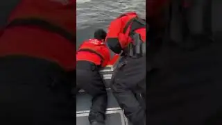 Coast Guard forces deer to live out life at sea - Reverse Animal Rescue