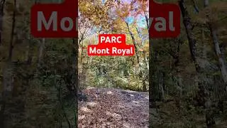 Mont Royal Montreal #montreal #montroyal #montrealvibes #montreallife