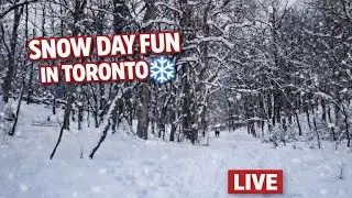 🔴 Live: Snow Day in Toronto Feeling like -22 #live #livestream #torontolive l