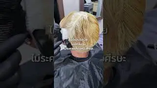 ผมสีเทา | NIGAO Hair Color 8.11 Glossy Ash Blonde #nigao #hair #haircolor