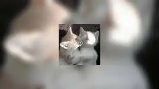 Вирус-Ты меня не ищи (Speed up)