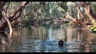 Explore the Nullagine Area