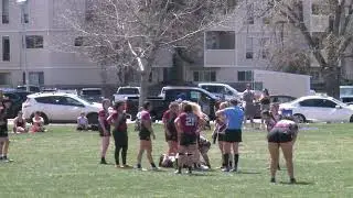 Colorado Gray Wolves vs Black Ice: 2nd half #3.