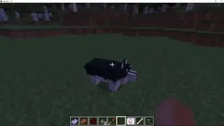 RWBY Craft Zwei