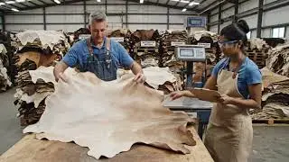 Inside the Animal Tanning Factory – How Raw Hides Become Premium Materials | Full Process