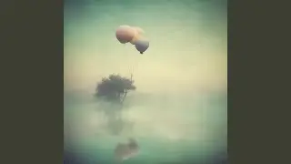 My Head's a Carnival
