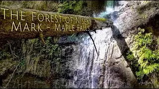 Лес Nisene Mark - водопады Maple (Калифорния)