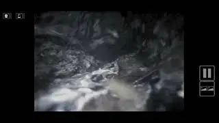 Shaw plant footage 