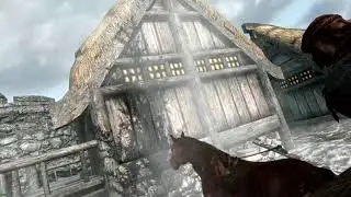 drunk driver and horse