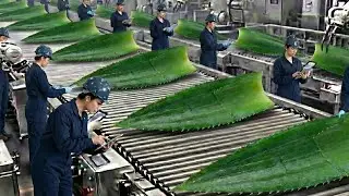 This Factory Turns Pineapple Leaves Into Luxury Vegan Leather