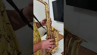 Selmer super action II alto saxophone