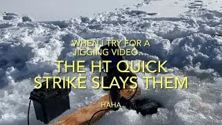 Ht quick strike slays them, 100% catch rate!