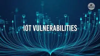 IoT Vulnerabilities | InnoVision Tech