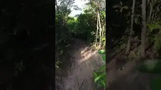 MEC2023 - SP1 Trail Jalur Babi