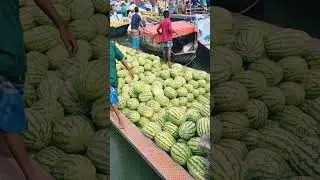 ভাসমান তরমুজ হাট VS স্থানীয় তরমুজ বাজার কোনটি ভাল?