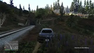 Grand Theft Auto V crazy Gaming GTA 5 watch in 2x speed Guys