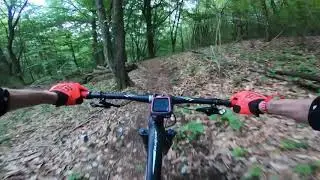 Panda trail 2020