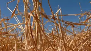 USDA Announces $16 Billion in Disaster Assistance for Farmers and Ranchers