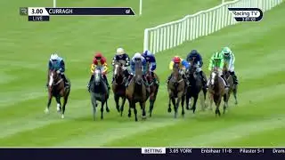 Weatherbys Ireland Greenlands Stakes (Group 2) 2019