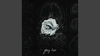 gray love (feat. Blvckehart)