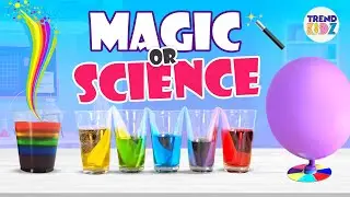 Magic or Science? 3 Simple Experiments to Try at Home! | Trend Kidz