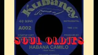INSTRUMENTAL LATINO - ( ibrahim Ferrer - Habana Camilo )